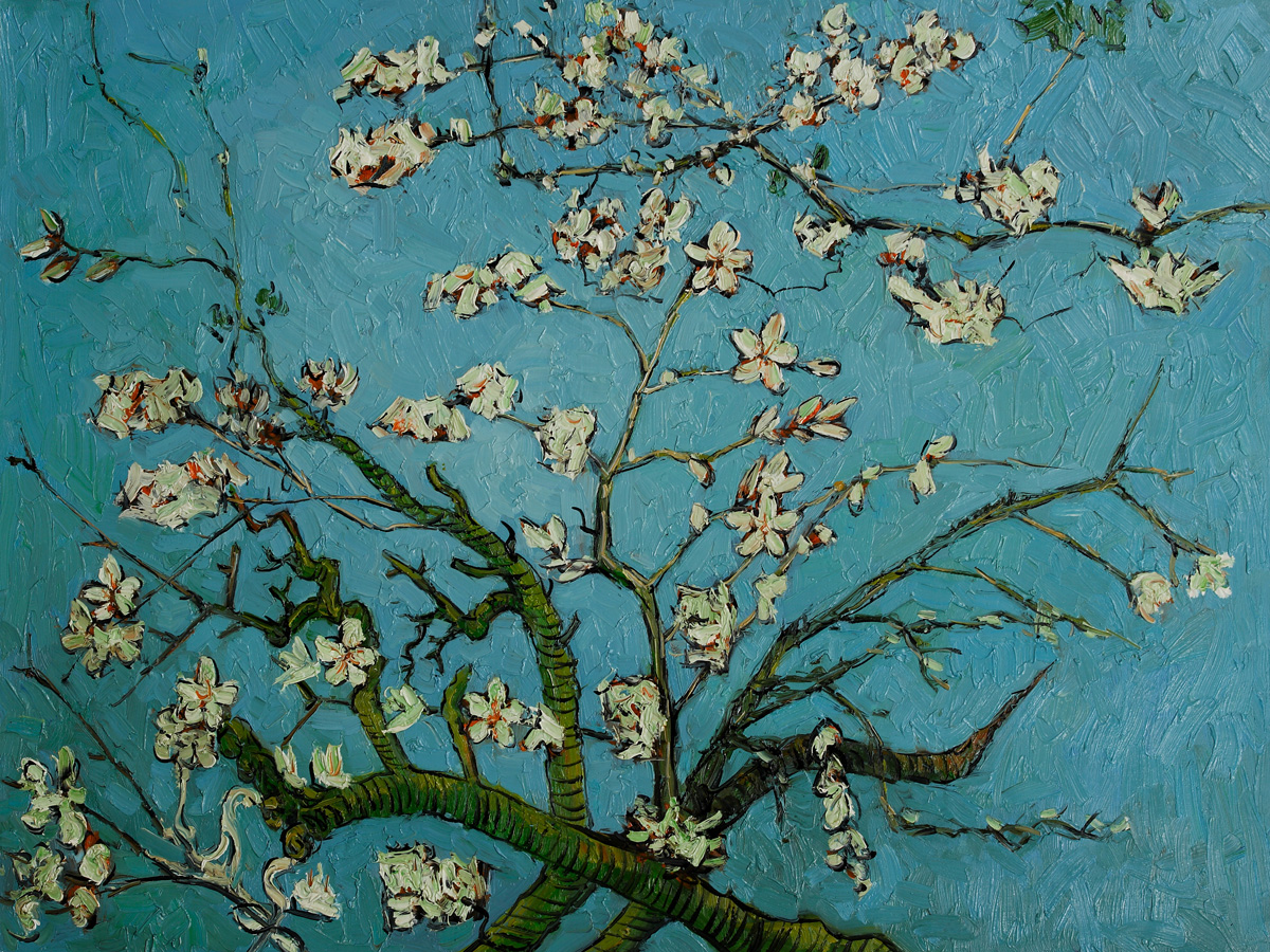 Branches of an Almond Tree in Blossom by Vincent Van Gogh